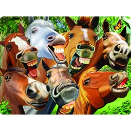 paarden op kaart van trendzz for you