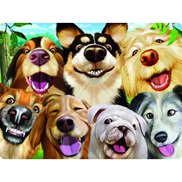 dieren op kaart van trendzz for you