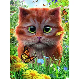 zielige kitten op kaart van trendzz for you