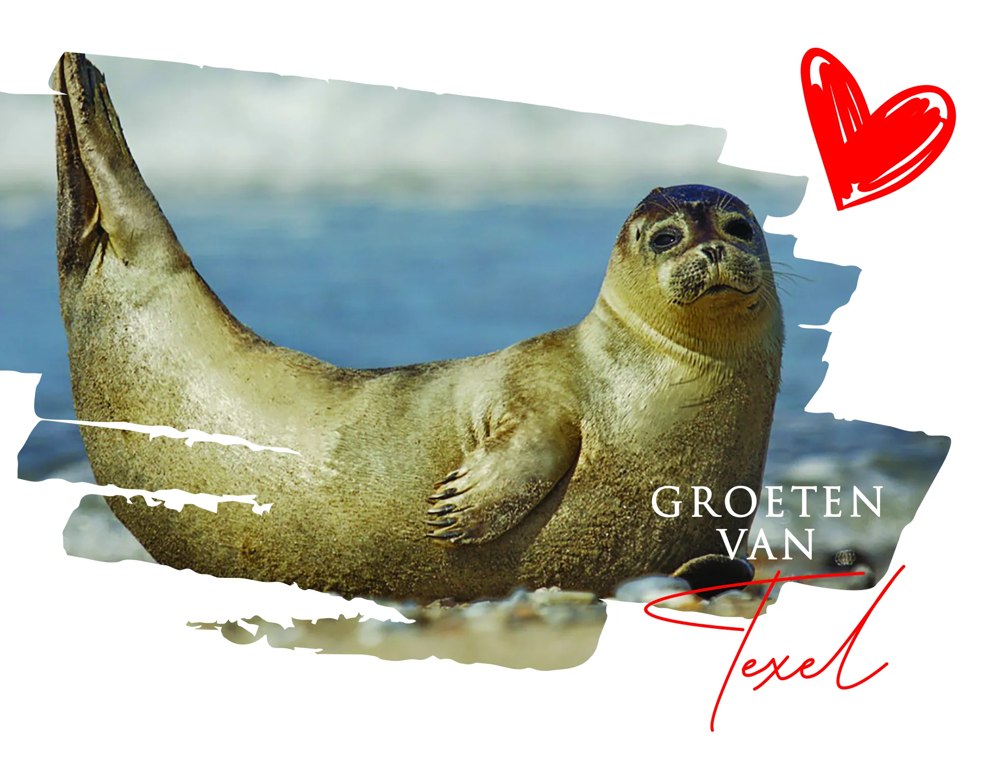 ansichtkaart texel van trendzz for you