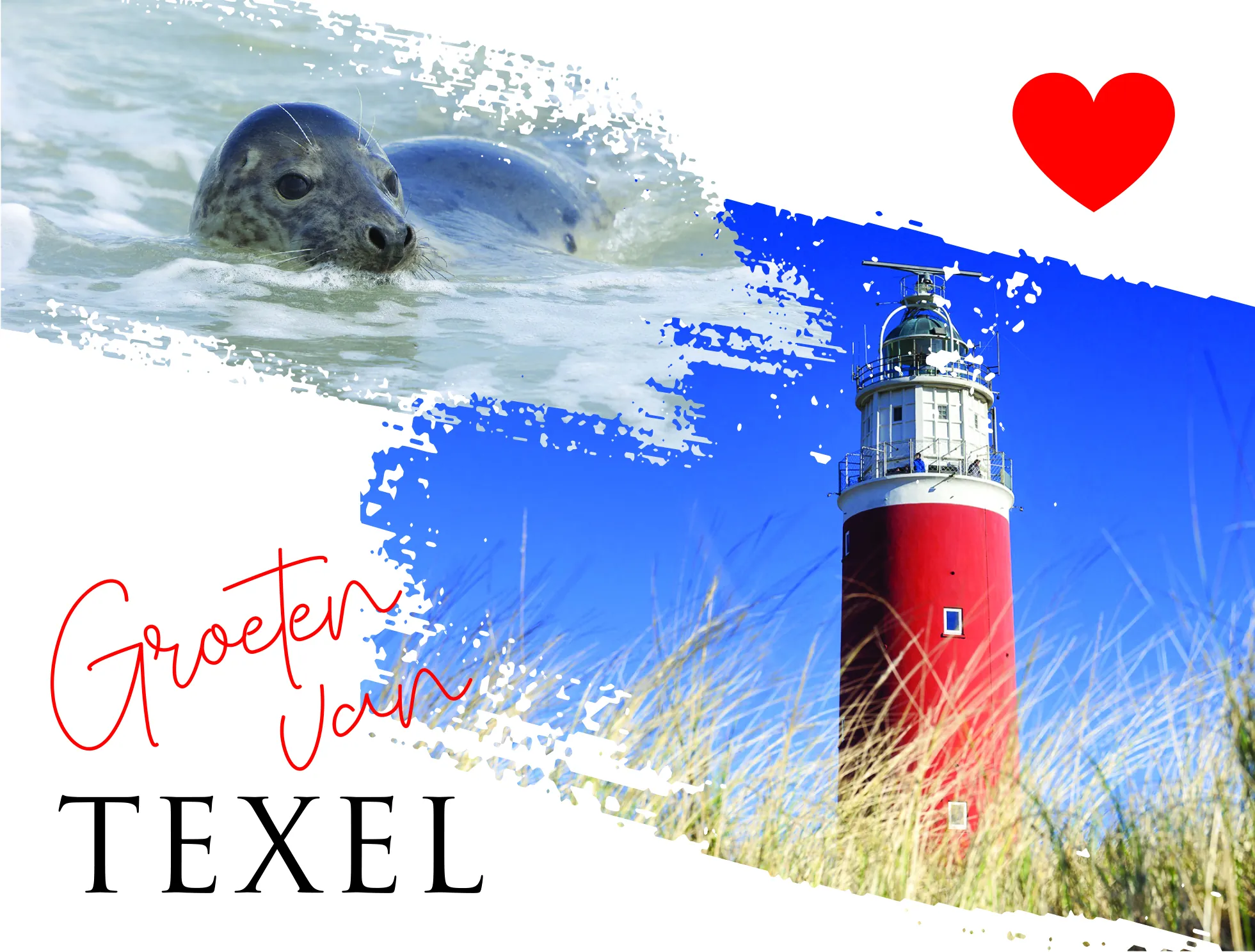 ansichtkaart texel van trendzz for you