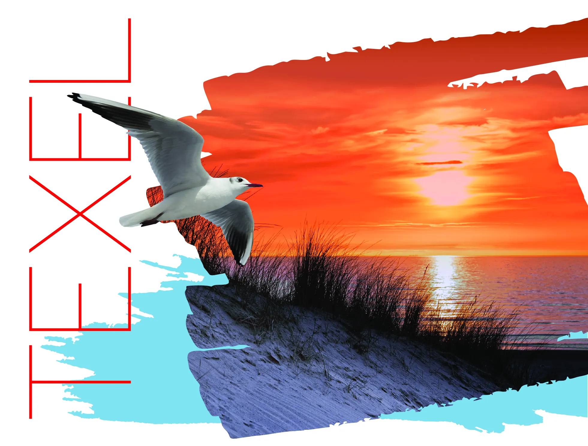 ansichtkaart texel van trendzz for you