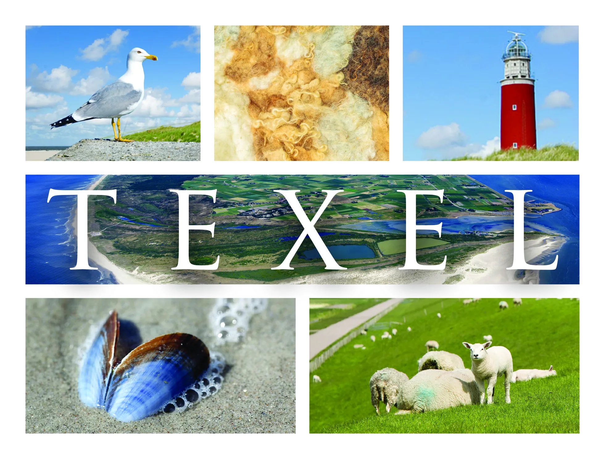 ansichtkaart texel van trendzz for you