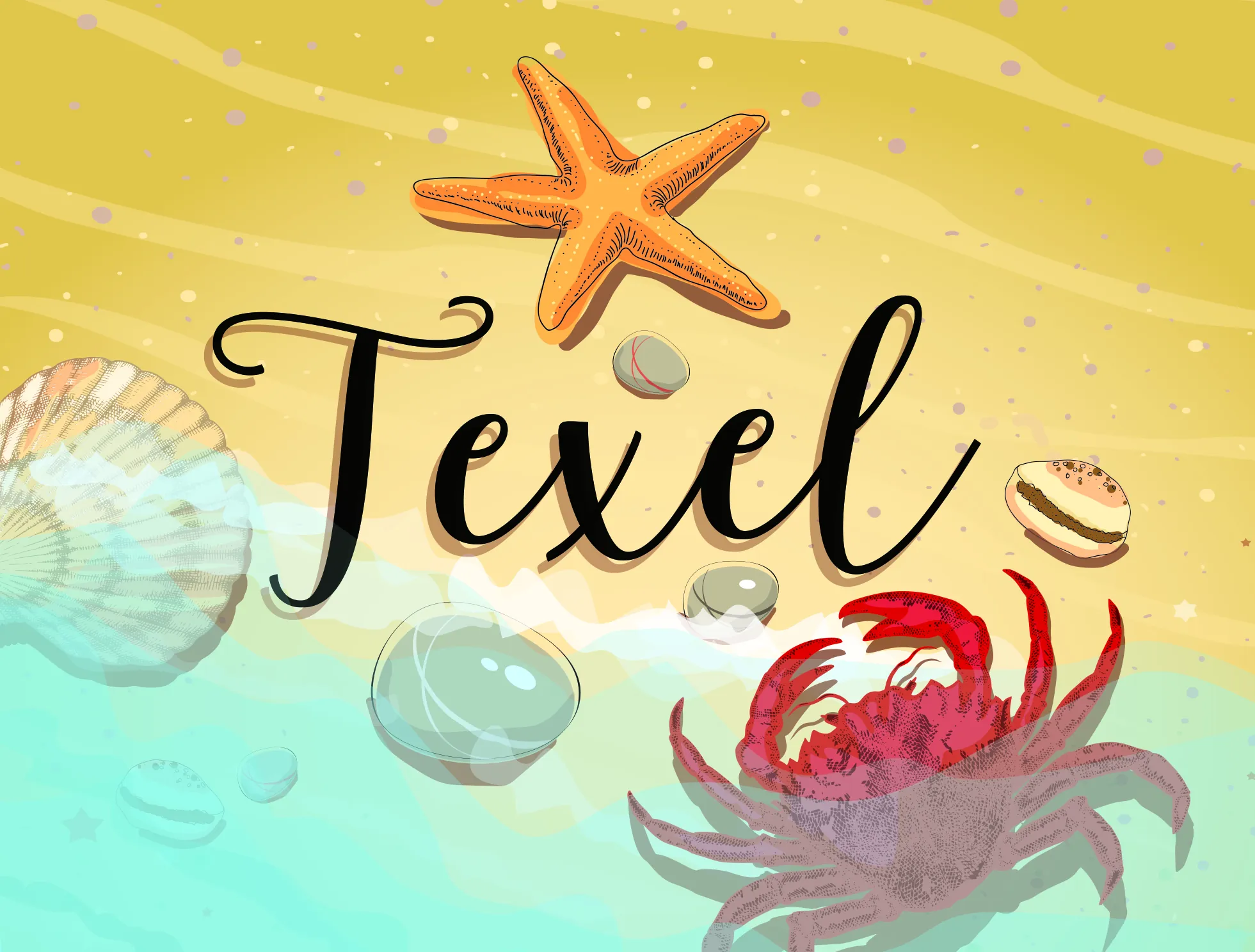 ansichtkaart texel van trendzz for you