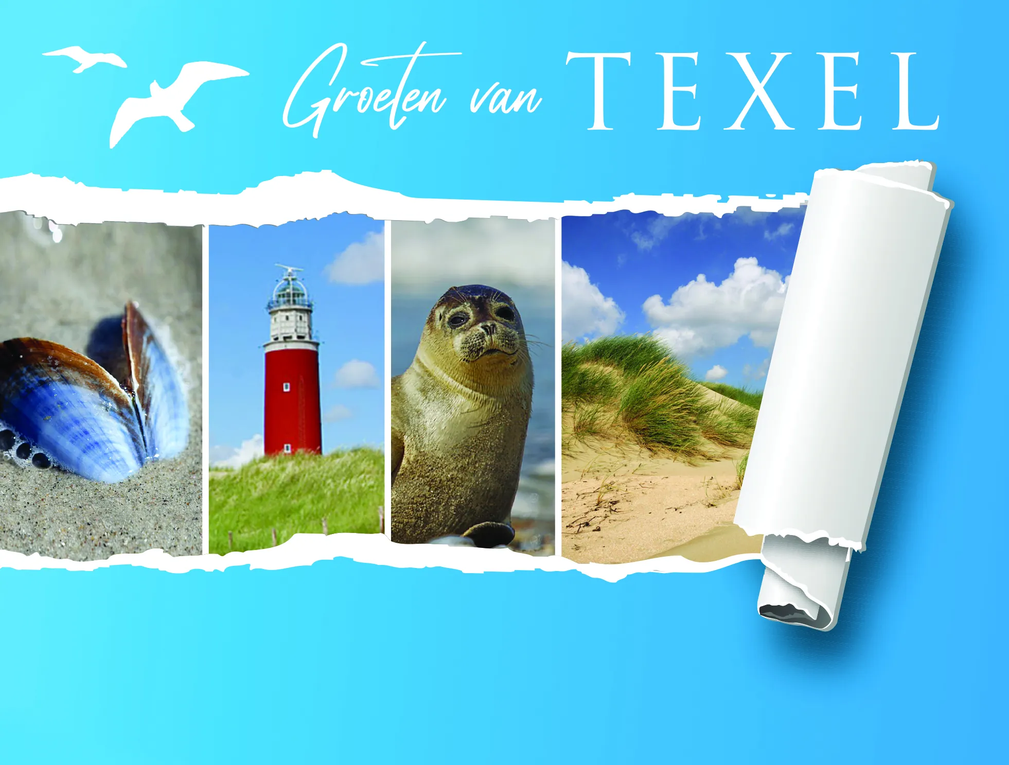 ansichtkaart texel van trendzz for you
