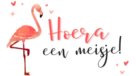 geboorte meisje kaart trendzz for you